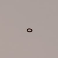 Buna Gasket