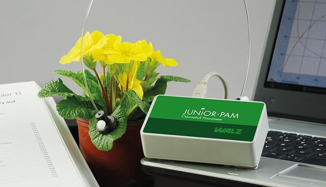 JUNIOR-PAM Fluorómetro de Clorofila para Enseñanza