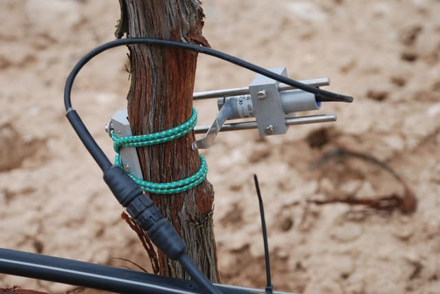 Dendrómetro para Plantas